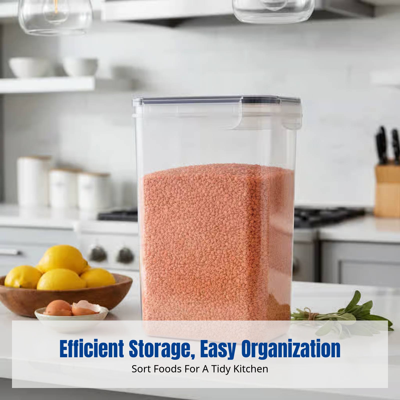 Airtight Food Storage Containe - Food Storage Containers 评论和价格