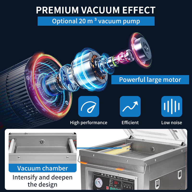 DZ-500 Professional Electric C - Food Storage For Long Term 评论和价格