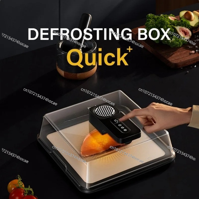 Type-C Charging Defrosting Box - Food Storage Frozen 评论和价格