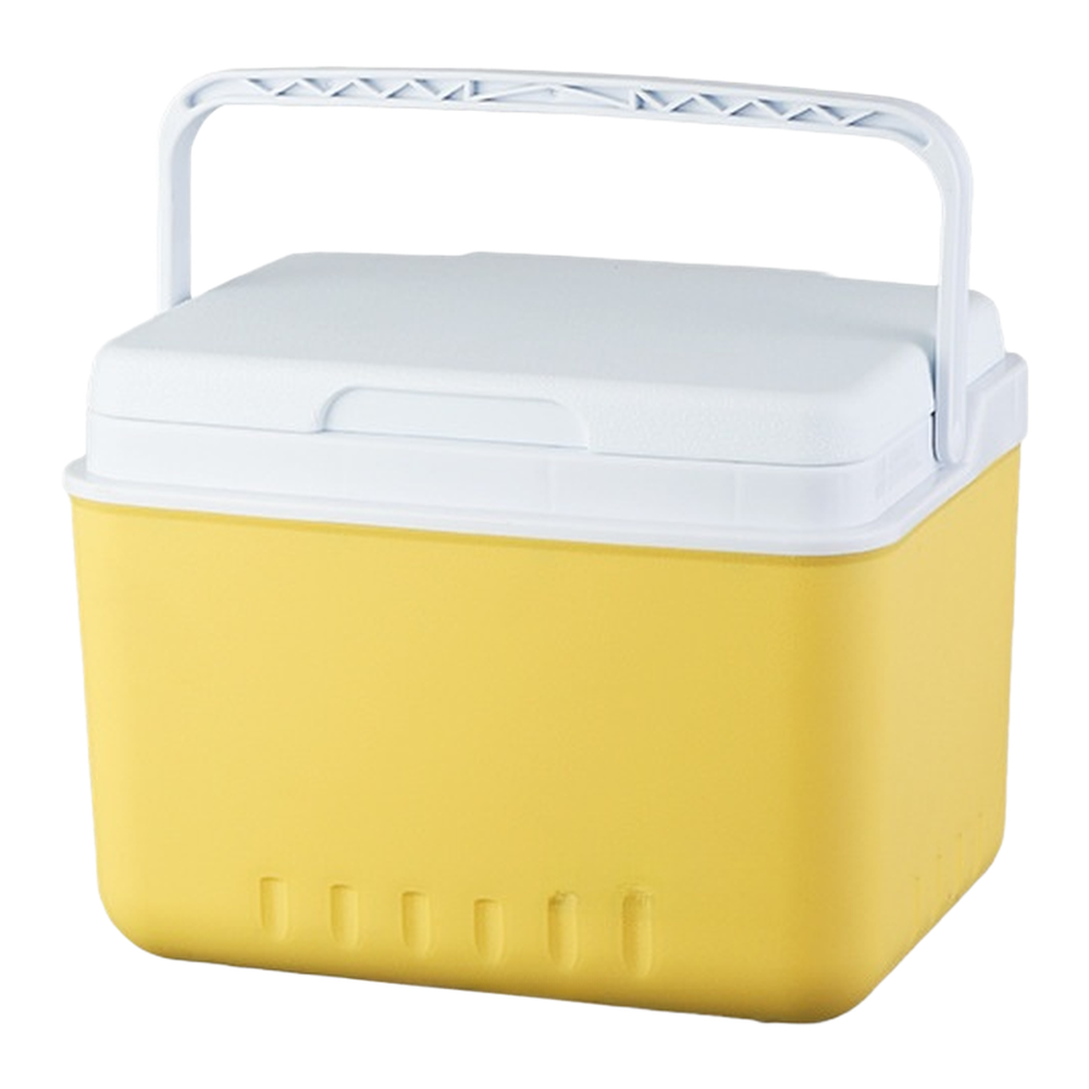 Portable 6L 15L Insulated Cool - Food Storage For Camping 评论和价格