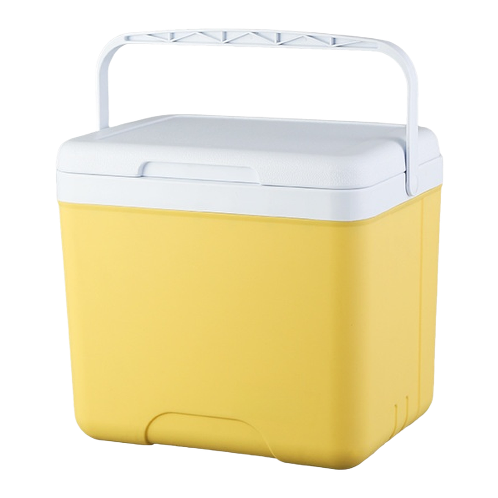 Portable 6L 15L Insulated Cool - Food Storage For Camping 评论和价格