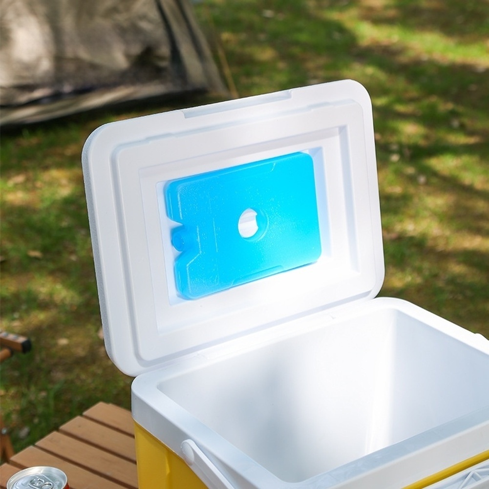 Portable 6L 15L Insulated Cool - Food Storage For Camping 评论和价格