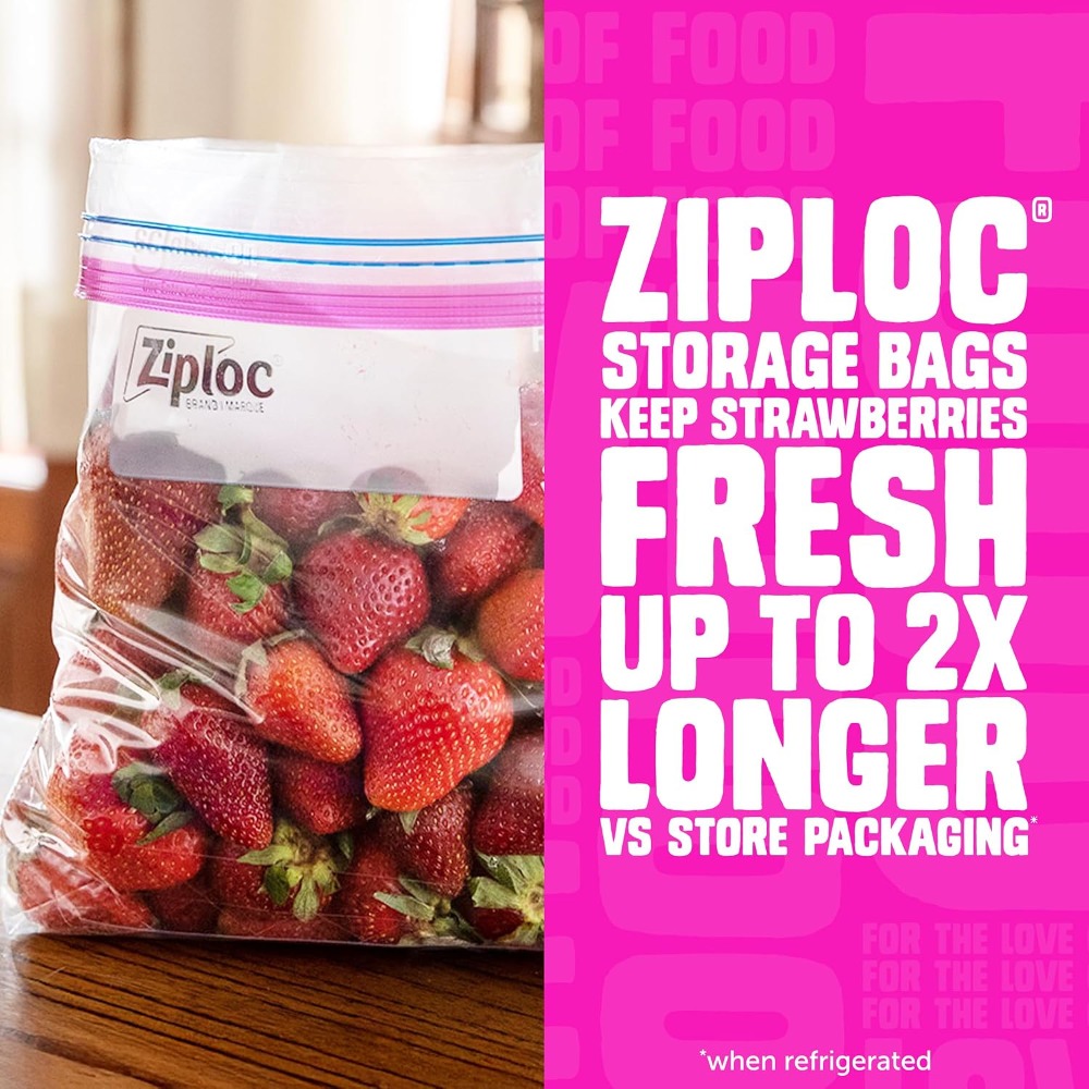 Stand Up Bottom Quart Food Sto - Storage Food Prep 评论和价格