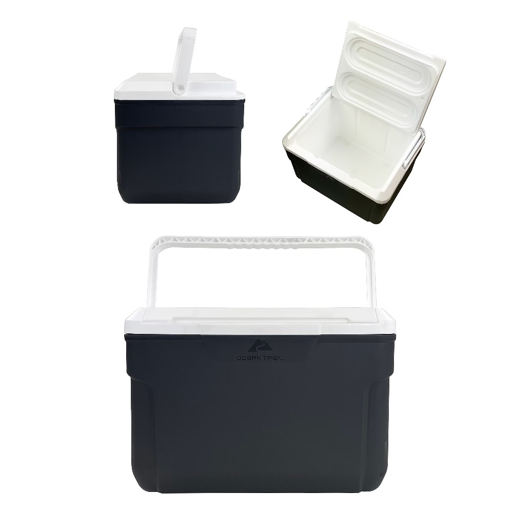Insulated Hard-Sided Cooler 10 - Food Storage Quart Containers 评论和价格