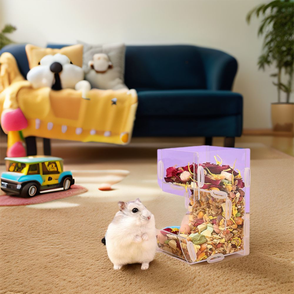 Acrylic Automatic Hamster Food - Food Storage Pet 评论和价格