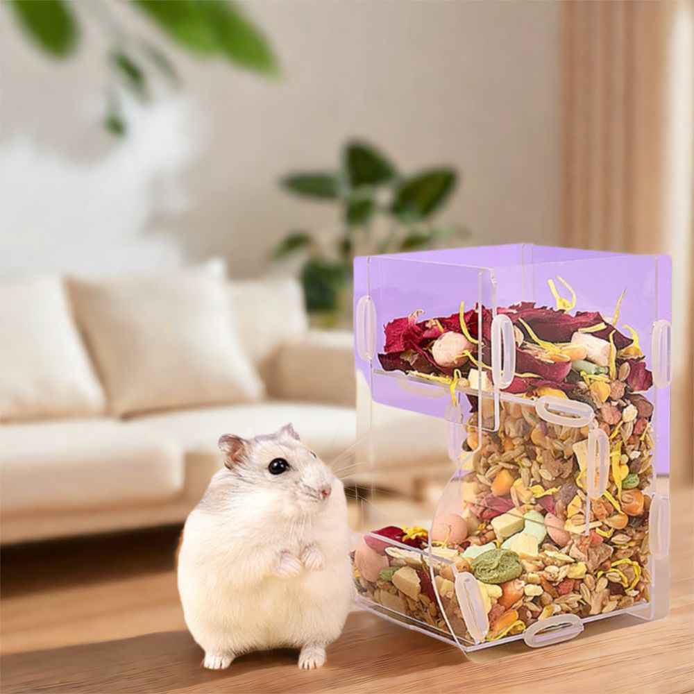 Acrylic Automatic Hamster Food - Food Storage Pet 评论和价格