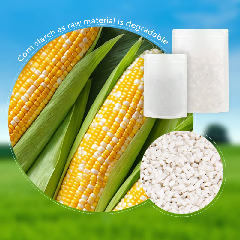 Customized Degradable Kraft Pa - Food Storage Plant 评论和价格